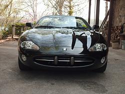 New Member Intro-jaguar-003.jpg