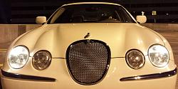 New member - Greenville, SC - 2001 S-Type 3.0-10511593_884571550350_3319001713188794743_o.jpg