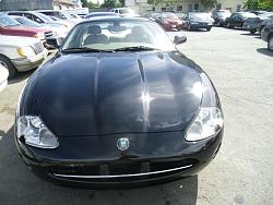 My latest car is another Jag-sadcat.jpg