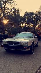 New Member from Northern California-img_0900.jpg