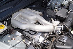 Roll call and new Intro's-induction-manifold.jpg