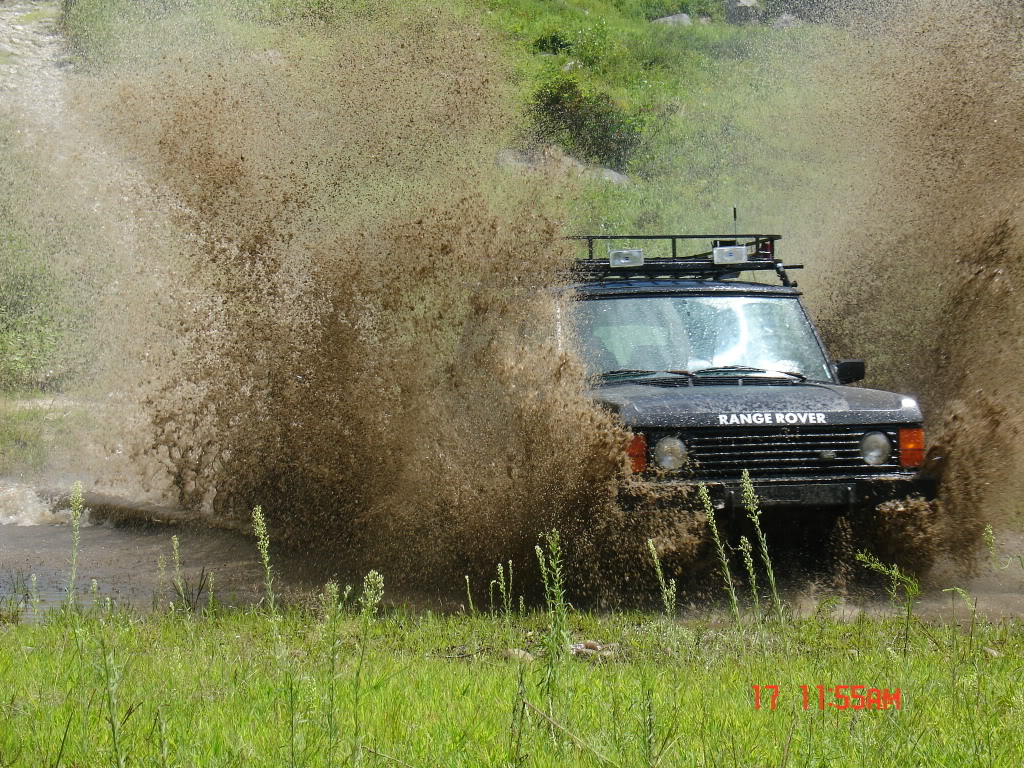 Name:  DSC04292.jpg
Views: 187
Size:  297.5 KB