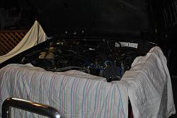 1995 XJ Cherokee LTD-dsc_9464.jpg