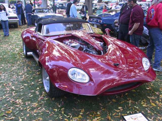 Name:  WildJag2.jpg
Views: 1448
Size:  57.5 KB