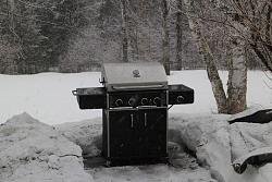 Birds, the flying kind-bbq1.jpg