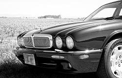 A Few Photos of my 01' Jaguar XJ8 Vanden Plas from Today-img_8256.jpg