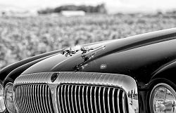 A Few Photos of my 01' Jaguar XJ8 Vanden Plas from Today-img_8259.jpg