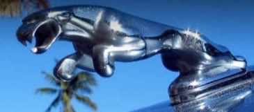 Name:  246e54b1.jpg
Views: 308
Size:  12.4 KB