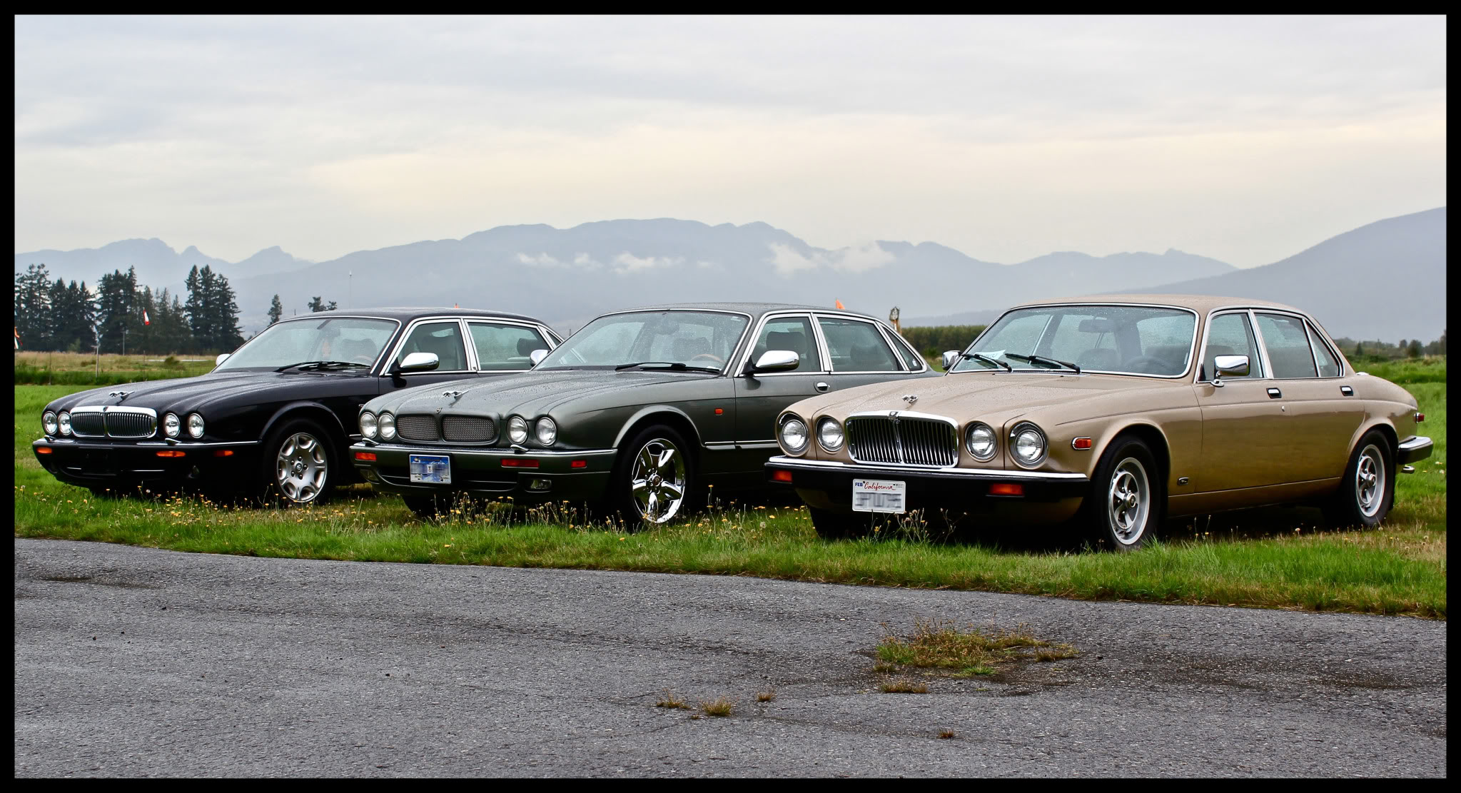 Name:  3jags-1.jpg
Views: 145
Size:  501.5 KB