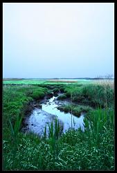 My style-wetland.jpg