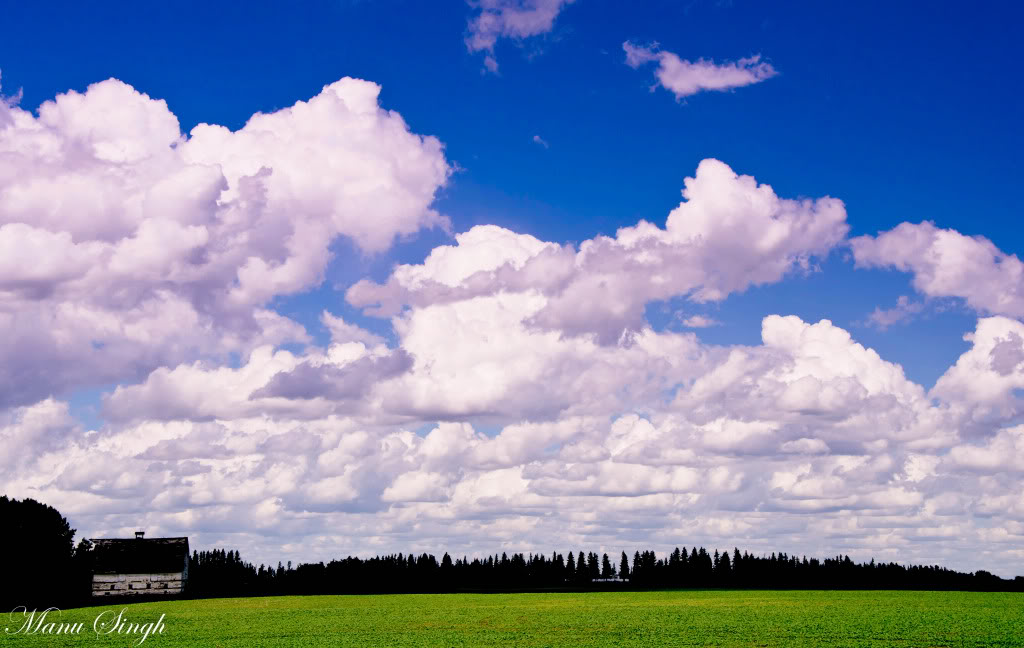 Name:  Oldbarn1of1.jpg
Views: 118
Size:  95.1 KB