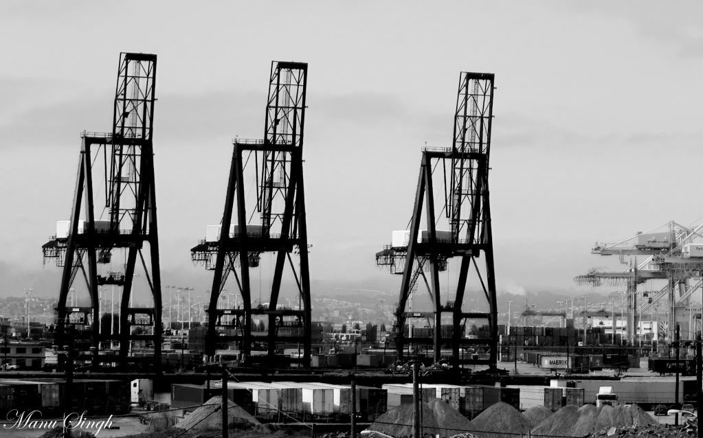 Name:  trio1of1.jpg
Views: 104
Size:  118.7 KB