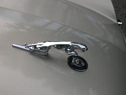 Lets see your Leapers-dscn4151.jpg