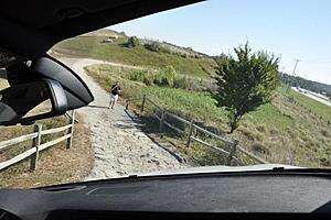 My BMW Performance Center Delivery experience (Greer, SC)-p74hp.jpg