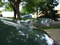 Lets see your Leapers-dsc03323.jpg
