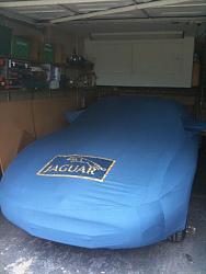 Shhh !! Sleeping Growler in Hibernation for the Winter-sleeping.jpg