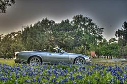 2013 Texas Wildflower Season-2013%252520bluebonnet%252520-%252520hdr%252520-%252520pickle%252520center%25252002-1-1.jpg