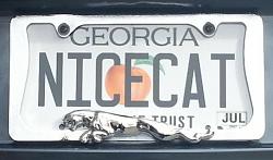 Jaguar License Plates-nicecat-141897-albums-intro-pics-8523-picture-jag-profile-5-458x270-21993.jpg