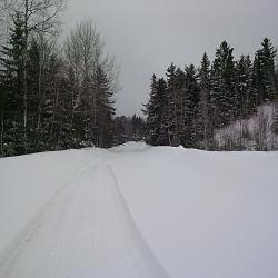 Storm made it to Canada-driveway.jpg