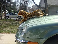 Lets see your Leapers-dsc06076.jpg