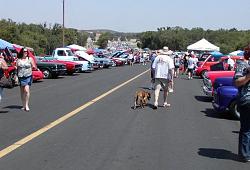 Show &amp; Shine, Ione, CA, May 31, 2014-downhillroundcornercrowd.jpg