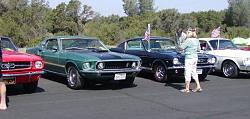 Show &amp; Shine, Ione, CA, May 31, 2014-mustangs.jpg