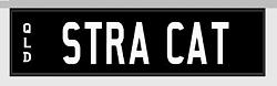 Name:  STRA CAT.JPG
Views: 714
Size:  5.2 KB