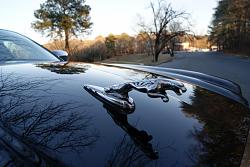 2005 Super V8 91,000 Miles-dsc08617.jpg