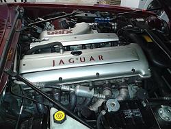 FOR SALE 1996 Jaguar XJS Celebration Coupe Supercharged !-10517544_1520975254785353_6946864866402094960_n.jpg