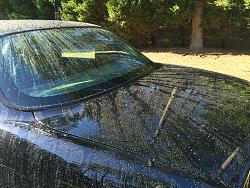 2005 Super V8 91,000 Miles-photo510.jpg