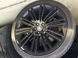 Set 20" Kasuga Wheels-img_0565.jpg
