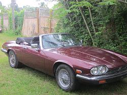 Jaguar v12  xjs convertible 44,000 miles-img_0658.jpg