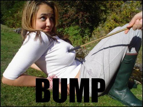 Name:  123Bump.jpg
Views: 118
Size:  36.4 KB