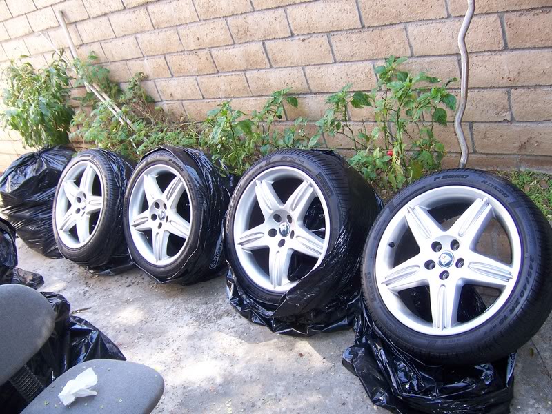 Name:  RIMS1.jpg
Views: 23
Size:  152.9 KB