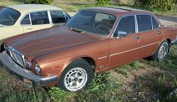 1982 XJ6 With Chevy 350 Conversion - 0-xj6_350.jpg