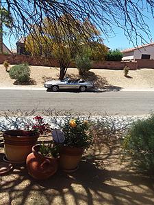 1991 XJS Convertible 78k mi.-jag-outside-far.jpg