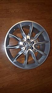 Front 20 Inch Dracos-1.jpg