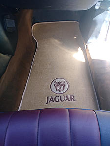 1974 Jaguar XJ6 Vanden Plas-20180314_140557_burst01.jpg
