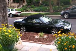 1997 XK8 Convertible 108K miles-jagfour.jpg