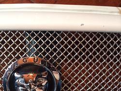 Mesh grill for X-type.-201.jpg