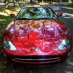 2005 Jaguar XK8 Coupe-img_0051%5B1%5D.jpg