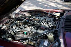 1985 XJS V12 Coupe-mimk5v.jpg