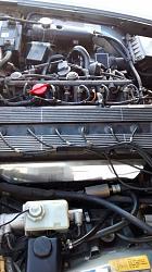'88 XJ40 Sovereign-10568998_10202998788790844_2432704082383677183_n.jpg