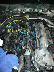 No clue what to do next-main-wiring-harness.jpg