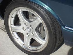 My Aspen Green STR...-dsc00113.jpg