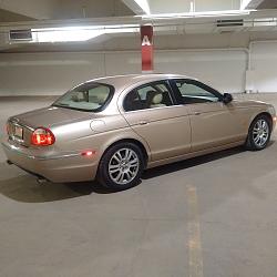 Hello all! New Member-5.jpg