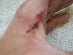 Rear Door Lock Actuator Fix W/Pics FAQ-ouch-.jpg