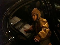 Fuel tank seals are leaking!-under-seat.jpg