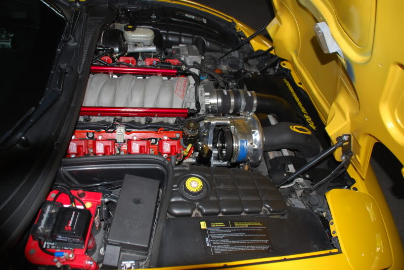 Name:  DSC_8026.jpg
Views: 1325
Size:  114.9 KB