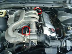 new member with a couple of questions.-jaguar-engine-bay.jpg